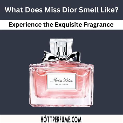 is miss dior perfume long lasting|what does miss dior smell like.